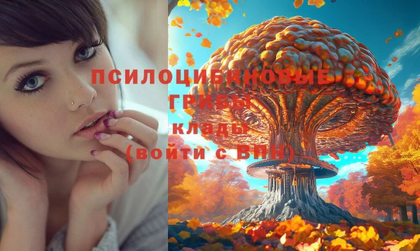 mix Армянск