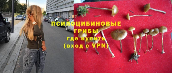 молекула духа Аркадак