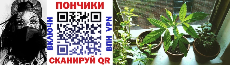 Шишки марихуана OG Kush  Соликамск 